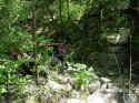 082303-falls-10.jpg (107093 bytes)